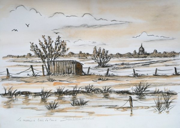 Bois de Cené, la vieille cabane