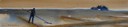 Paludier